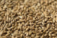 Gladfield Gladiator Malt per/kg